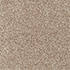 Everyroom Carpet Mullion Beige