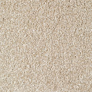 Everyroom Carpet Mullion Cream from Kings Carpets for the very best prices on all Everyroom Carpets. Call us on 0115 9455584. for the very best fitted or supply only price
