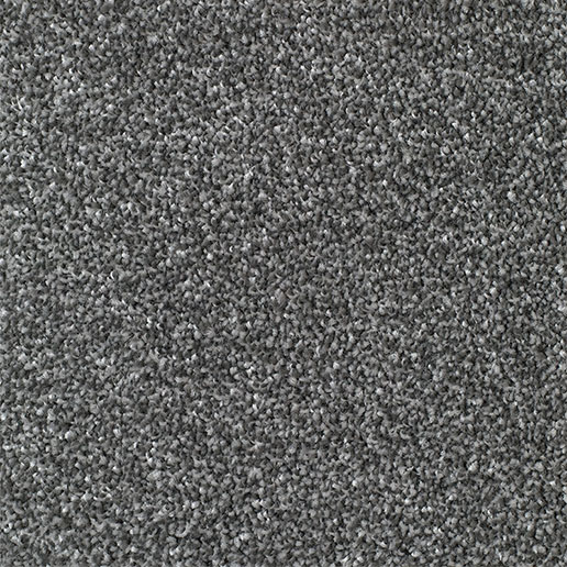 Everyroom Carpet Mullion Platinum