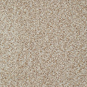 Everyroom Carpet Pentire Cashew