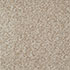 Everyroom Carpet Pentire Cashew