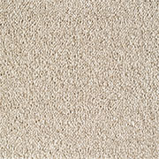 Everyroom Carpet Plumpton Cream from Kings Carpets for the very best prices on all Everyroom Carpets. Call us on 0115 9455584. for the very best fitted or supply only price