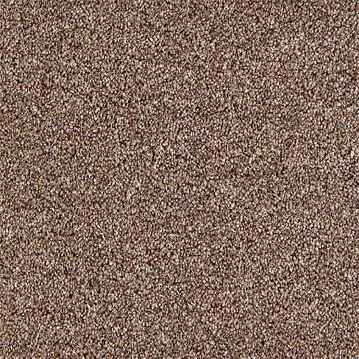 Everyroom Carpet Salcombe Brown