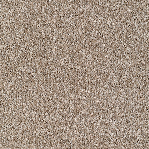 Everyroom Carpet Seaford Beige