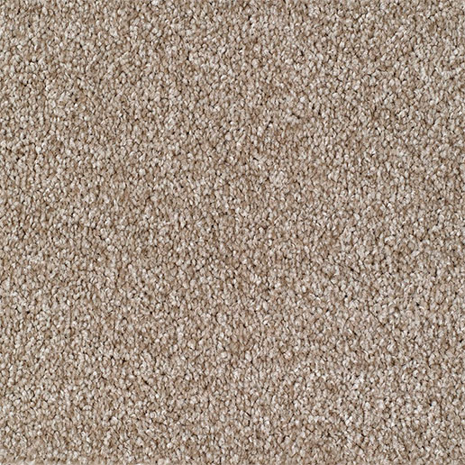 Everyroom Carpet Seaford Beige