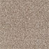 Everyroom Carpet Seaford Beige