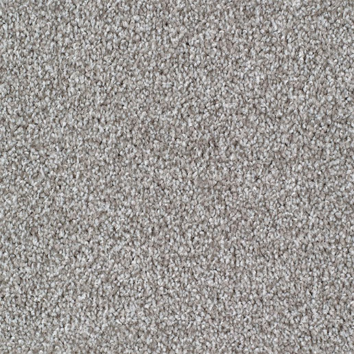 Everyroom Carpet Seaford Platinum