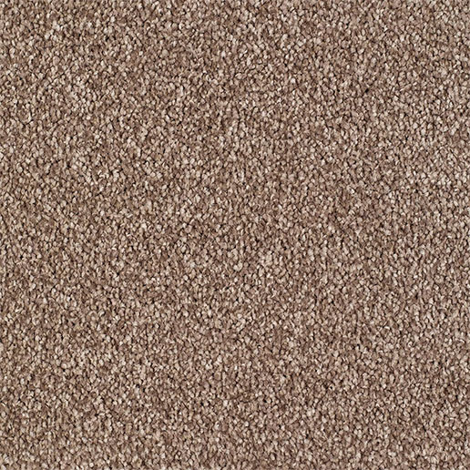 Everyroom Carpet Sennen Twist Brown