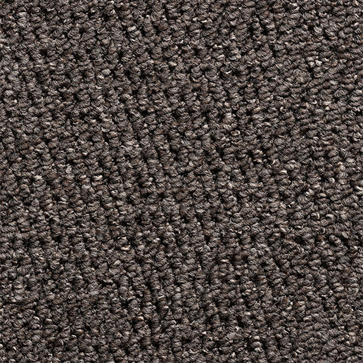 Everyroom Carpet Woodford Loop Coffee