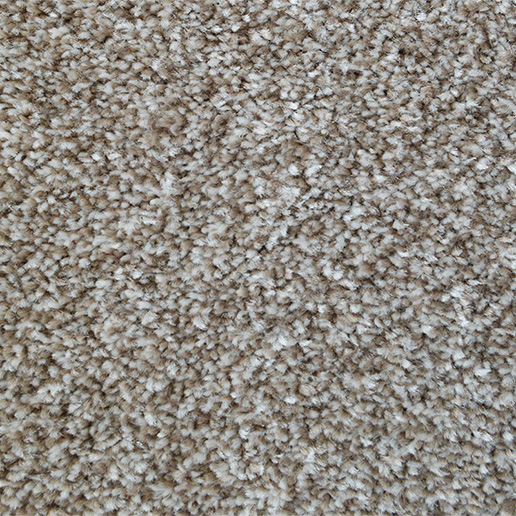 Every Room Saxony Carpet Rye Biscuit