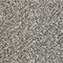 Every Room Saxony Carpet Rye Biscuit