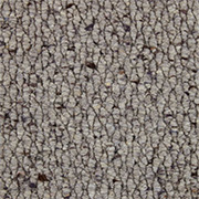 Gaskell Woolrich Carpet Rusticana Nova Grey Pine, from Kings Carpets - the best place to buy Gaskell Woolrich Carpets. Call Today - 0115 9455584