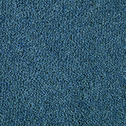 Penthouse Carpets Seasons First Frost