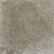 Riviera Home Carpets Luxure Chamapgne Fizz