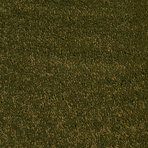 Victoria Carpets Aura Sports Day