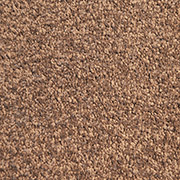 Victoria Carpets Aura Teddy