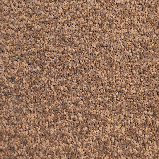 Victoria Carpets Aura Teddy