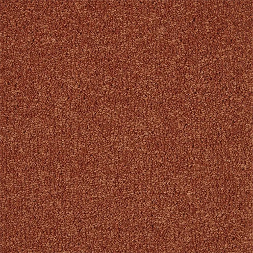 Kingsmead Carpets Artwork Paw Paw