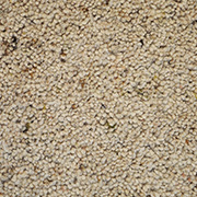 Cormar Carpets Natural Berber Twist Elite Limewood - Wool Blend Twist - Free Fitting Within 25 Miles of Nottingham