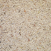 Cormar Carpets Natural Berber Twist Deluxe Parchment