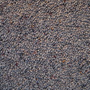 Cormar Carpets Natural Berber Twist Deluxe Saxon Stone