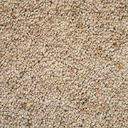 Cormar Carpets Natural Berber Twist Elite Chamois 