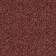 Abingdon Carpets Velvet Dreams Bookroom Red