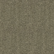 Abingdon Carpets Velvet Dreams Dusty Fern