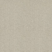 Abingdon Carpets Velvet Dreams Mist
