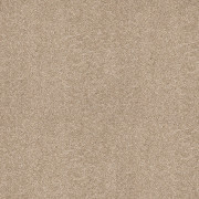 Abingdon Carpets Velvet Dreams Mouseback