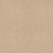 Abingdon Carpets Velvet Dreams Soft Buff