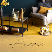 Abingdon Carpets Stainfree Finesse