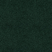 Abingdon Carpets Finesse Fir Green