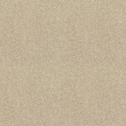 Abingdon Carpets Finesse Latte