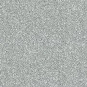 Abingdon Carpets Finesse Platinum