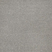 Associated Weavers Invictus Cassius 93 Silver Thaw