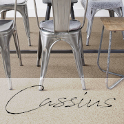Associated Weavers Invictus Cassius