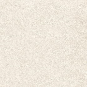 AW Invictus Magnificus Cream 03