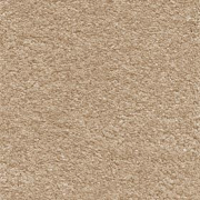 Associated Weavers Invictus Orion Biscuit 34