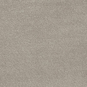 Associated Weavers Invictus Septimus Soft Silver 92