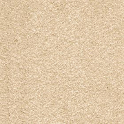 Associated Weavers iSense Splendour Almond 31