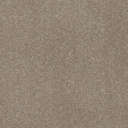 Balta Carpets Addiction Stone 143, from Kings Carpets - the ideal place to buy Balta Carpets and Flooring. Call Today - 0115 9455584