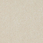 Balta Carpets Delight Chalk Stone 915 , from Kings Carpets - the ideal place to buy Balta Carpets and Flooring. Call Today - 0115 9455584 