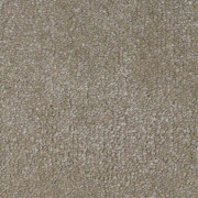 Balta Carpets Delight Chanterelle 780, from Kings Carpets - the ideal place to buy Balta Carpets and Flooring. Call Today - 0115 9455584