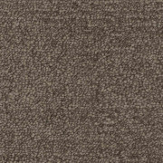 Balta Carpets Delight Grounded 845, from Kings Carpets - the ideal place to buy Balta Carpets and Flooring. Call Today - 0115 9455584 