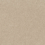 Balta Carpets Delight Iced Petal 625, from Kings Carpets - the ideal place to buy Balta Carpets and Flooring. Call Today - 0115 9455584 