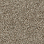 Balta Carpets Delight Rustic Brown 805, from Kings Carpets - the ideal place to buy Balta Carpets and Flooring. Call Today - 0115 9455584