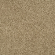 Balta Carpets Magical Feeling Camel Coat 780 from Kings Carpets - the ideal place to buy Balta Carpets and Flooring. Call Today - 0115 9455584