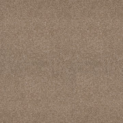 Balta Carpets Pandora Salted Beige PND11, from Kings Carpets - the ideal place to buy Balta Carpets and Flooring. Call Today - 0115 9455584