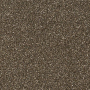 Balta Carpets Pinnacle Bear Cub 800, from Kings Carpets - the ideal place to buy Balta Carpets and Flooring. Call Today - 0115 9455584